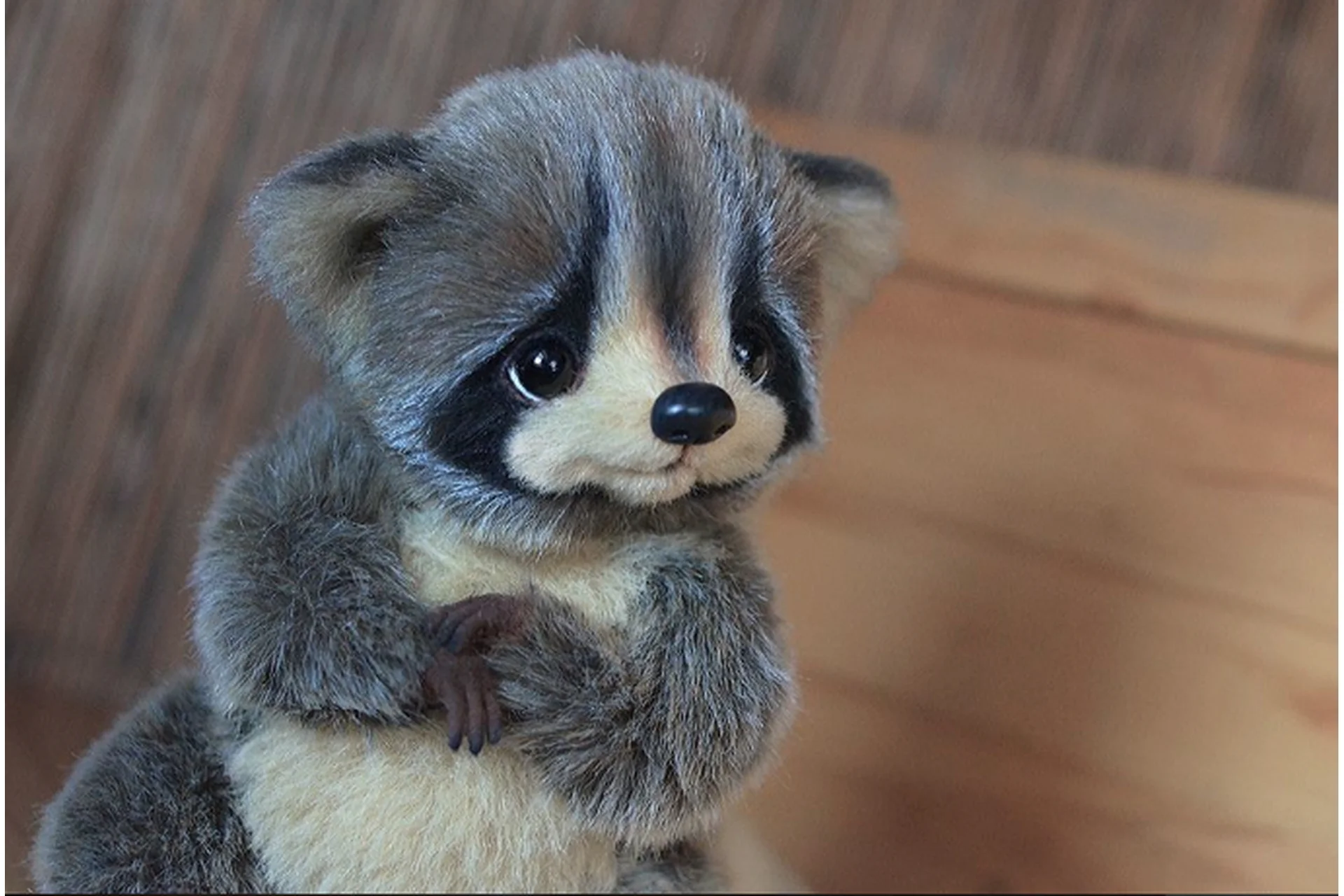 Енот (Катя Беспалова), фото 1 из 1.