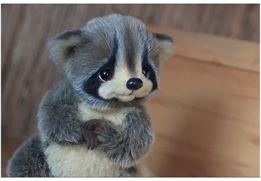 Енот (Катя Беспалова)