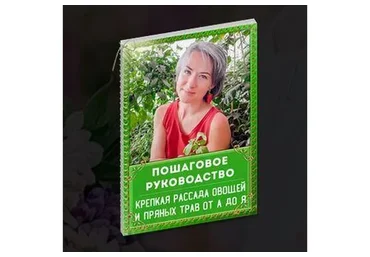 Крепкая рассада овощей и пряных трав от А до Я (Катя Spottykit)