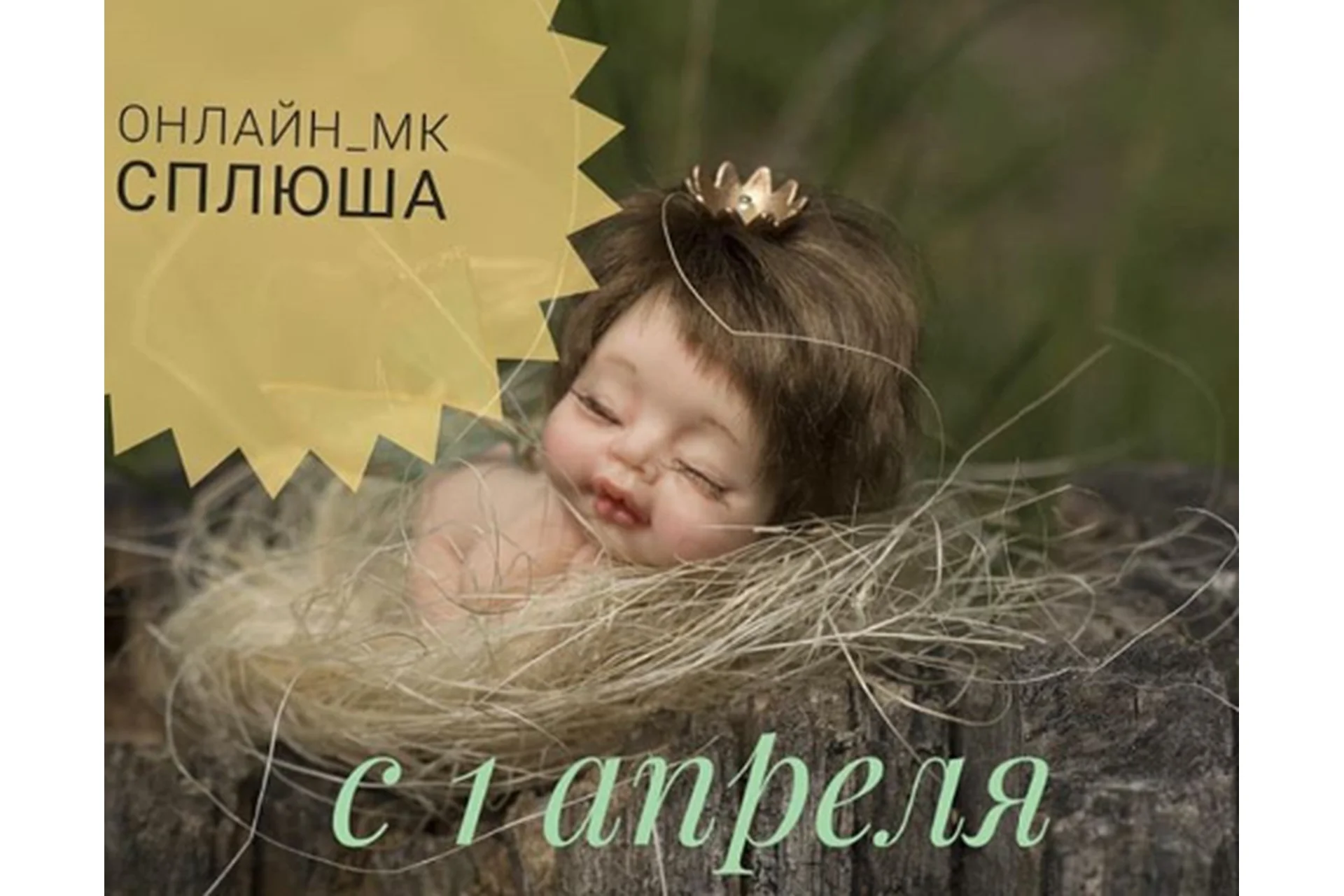 Сплюша (Галина Маковская), фото 1 из 1.