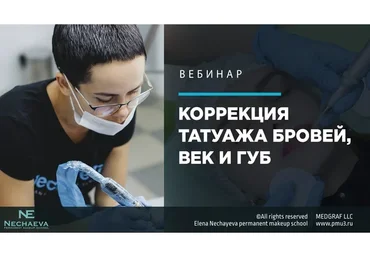 Коррекция татуажа бровей, век и губ (Елена Нечаева)