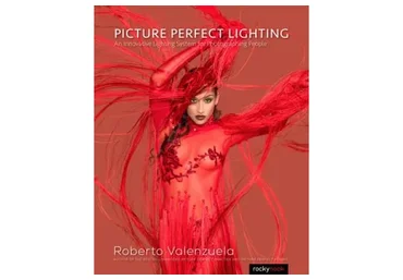 Идеальное освещение. Picture Perfect Lighting (Roberto Valenzuela)