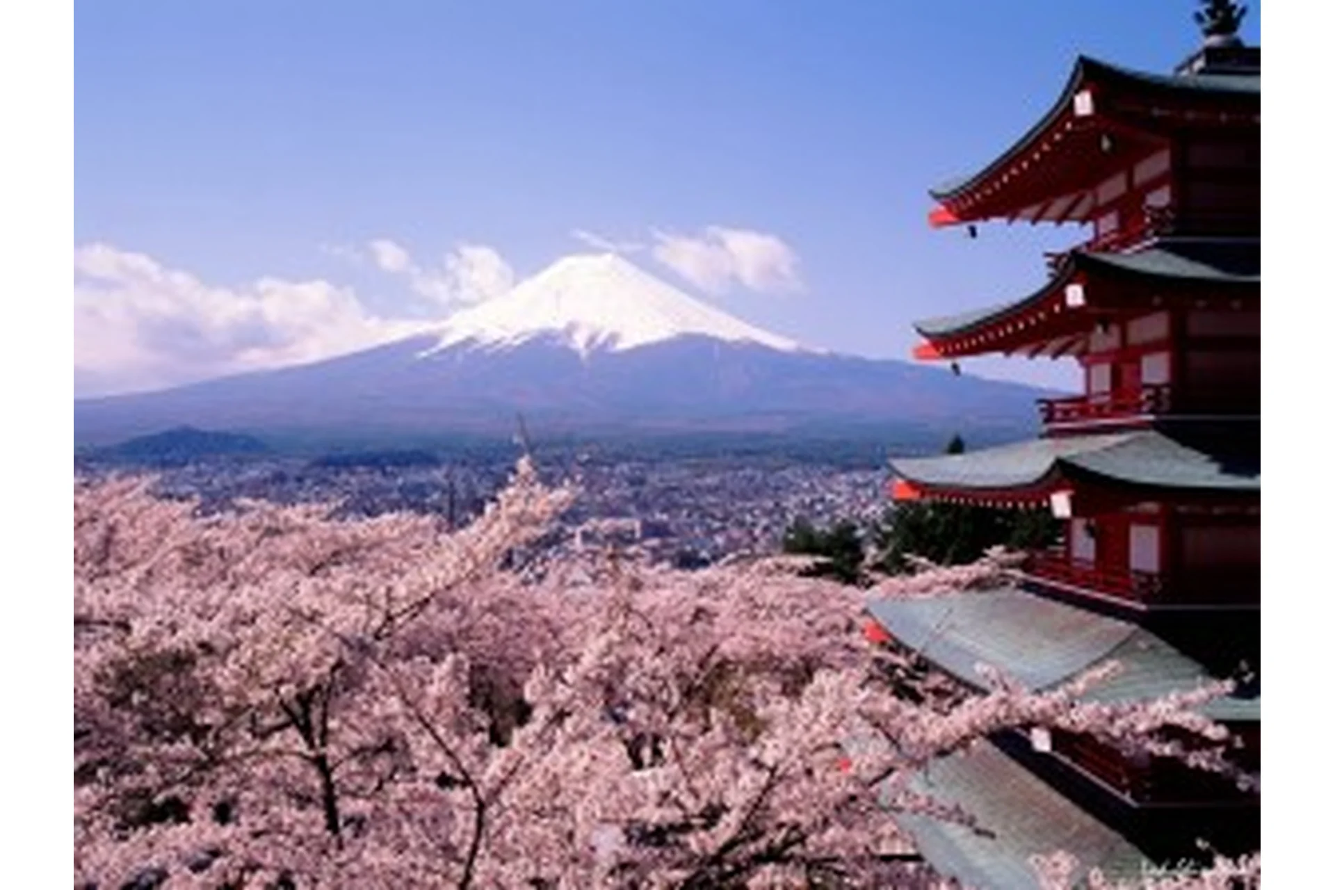 Двухнедельный летний географический лагерь «Путешествия по странам мира» (Зарина Ивантер), фото 1 из 1.