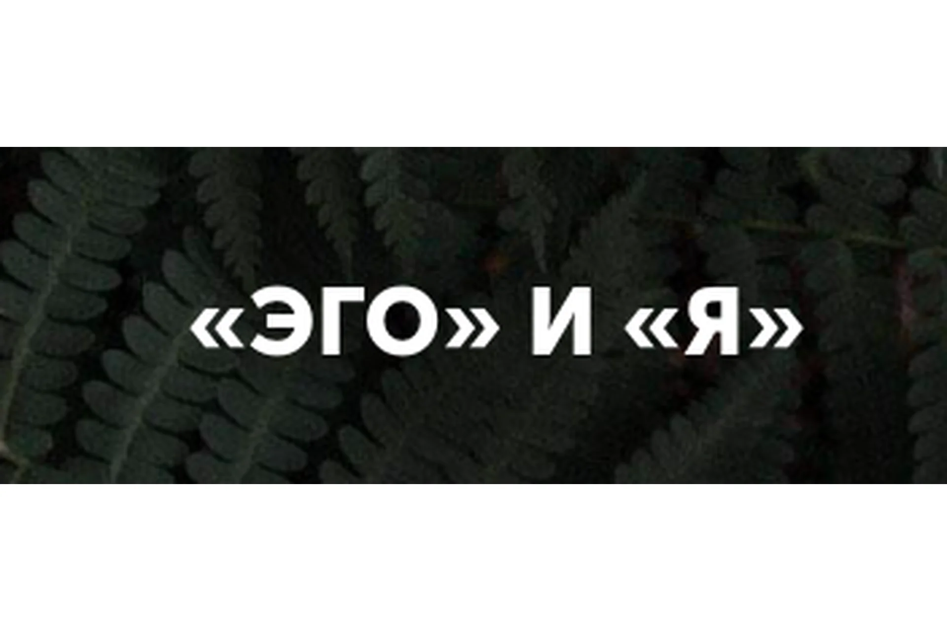 [Врата Миров] Эго и Я (Ольга Веремеева), фото 1 из 1.