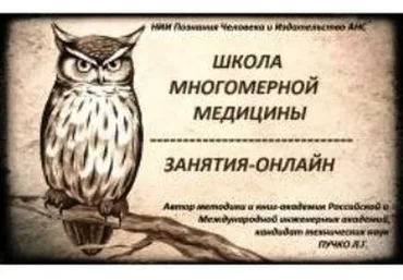 Школа Многомерной медицины. 24 онлайн-занятия (Алла Слободянюк)
