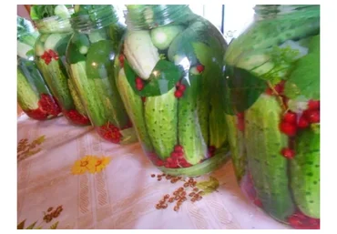 [Поместье Бутовых]  Курс по натуральной консервации без уксуса