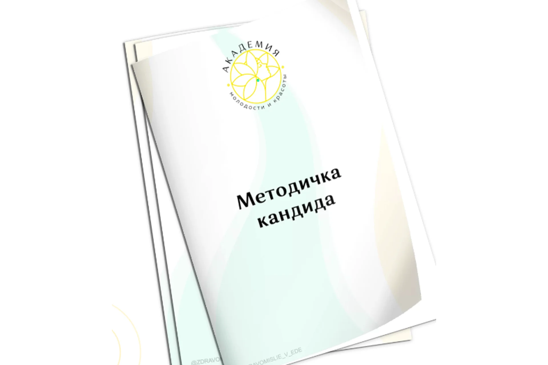 [Академия Молодости и Красоты] Методичка кандида (Ольга Евдокимова), фото 1 из 1.
