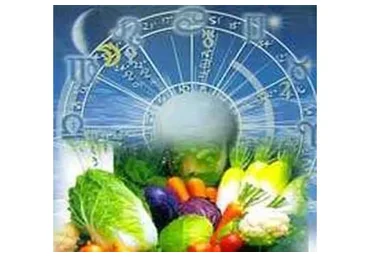 Астродиета: технология правильного и здорового питания (Юлия Романова)