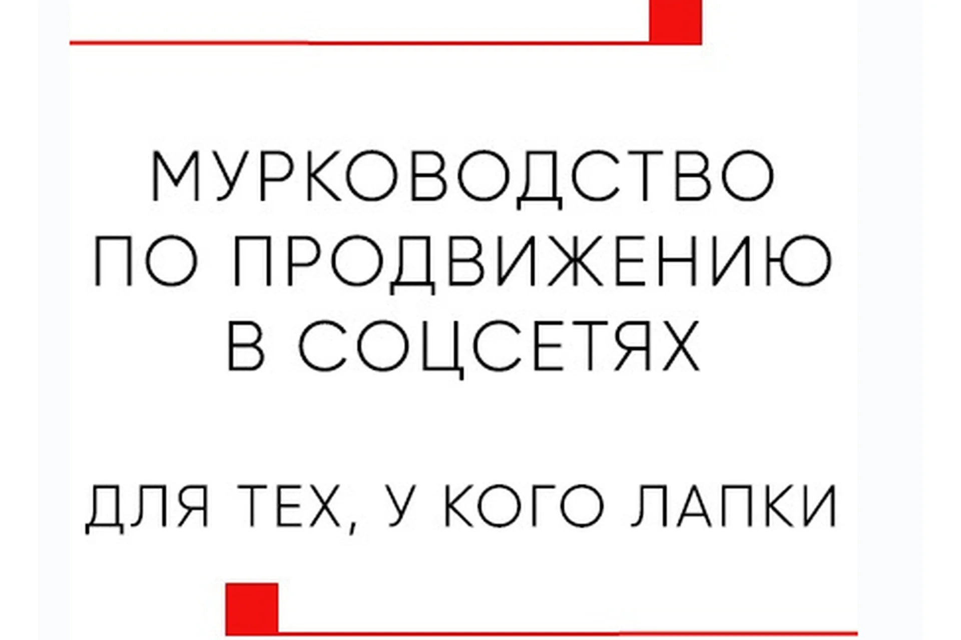 [Белый Цифровой Кот] Мурководство. Тариф В PDF формате (Иван Тутынин), фото 1 из 1.