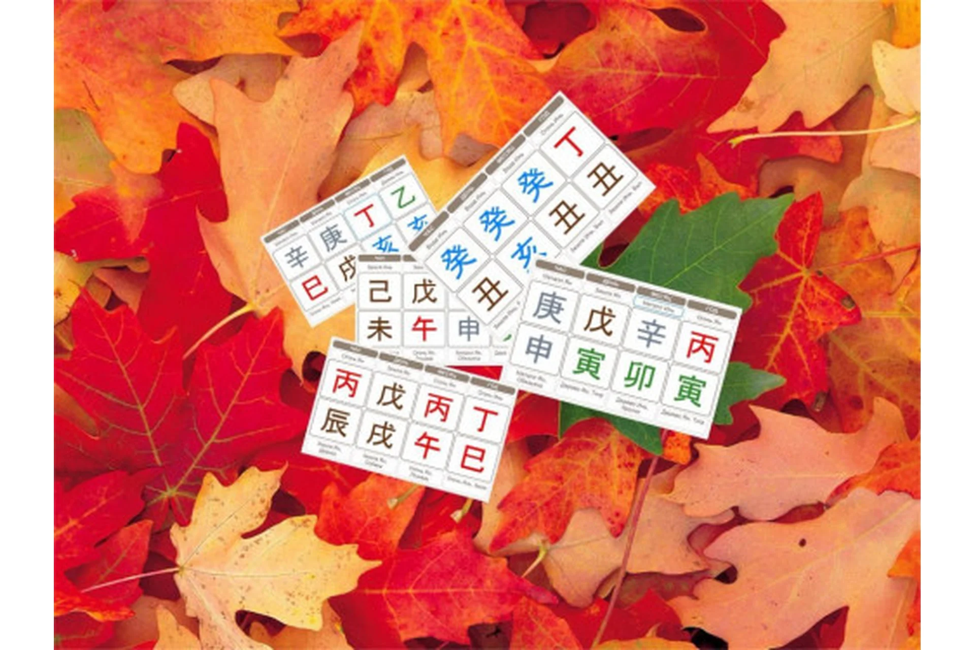 Правила расчета активации Почтовой Лошади богатства и путешествий (Галина Осецкая), фото 1 из 1.