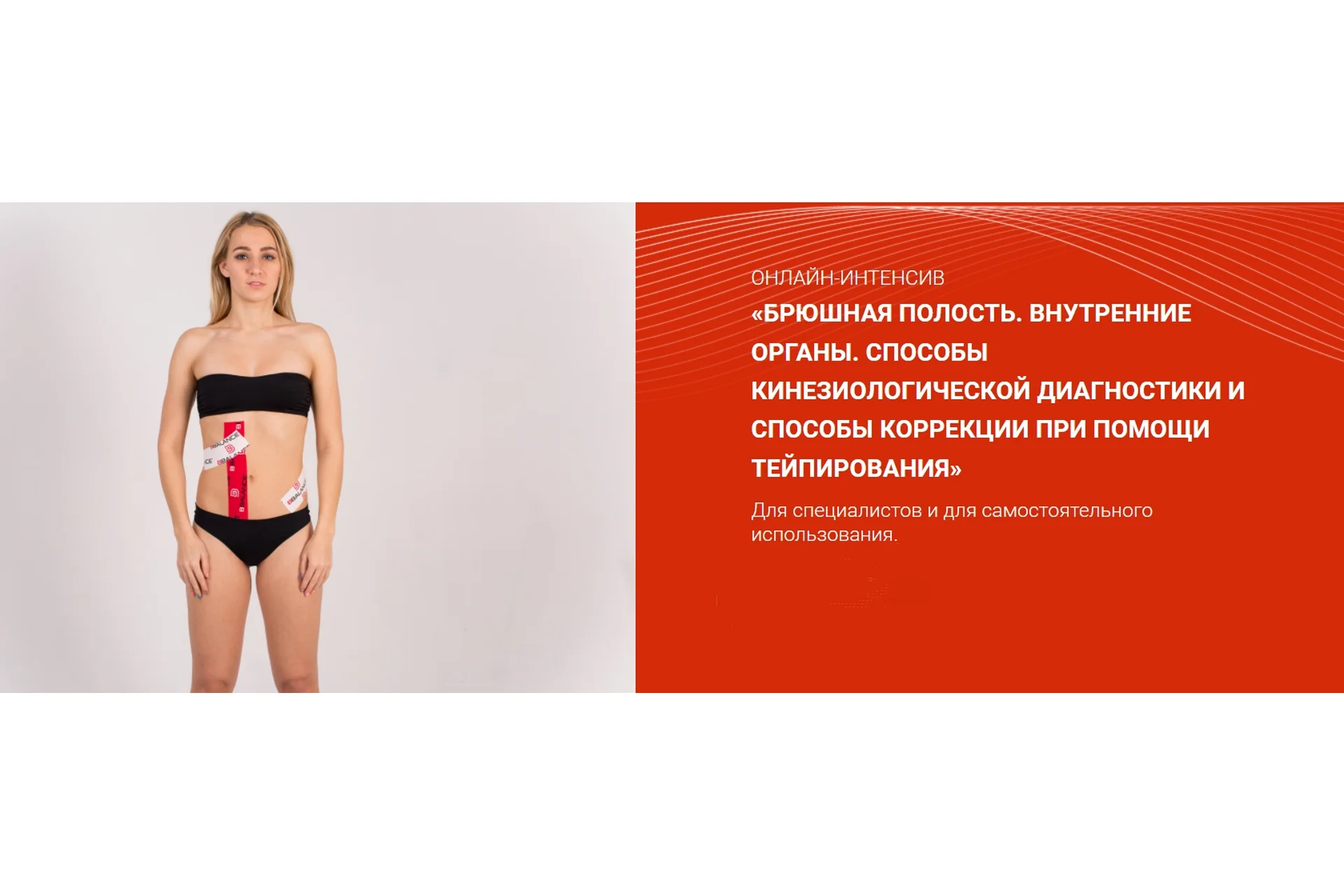 [BBalance] Брюшная полость. Внутренние органы (Евгения Чижикова), фото 1 из 1.