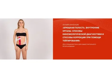 [BBalance] Брюшная полость. Внутренние органы (Евгения Чижикова)