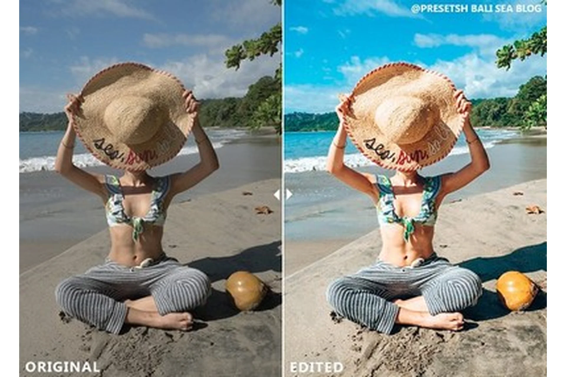 [CreativeMarket] Блоггерские пресеты Pro Blogger для Lightroom, фото 1 из 1.