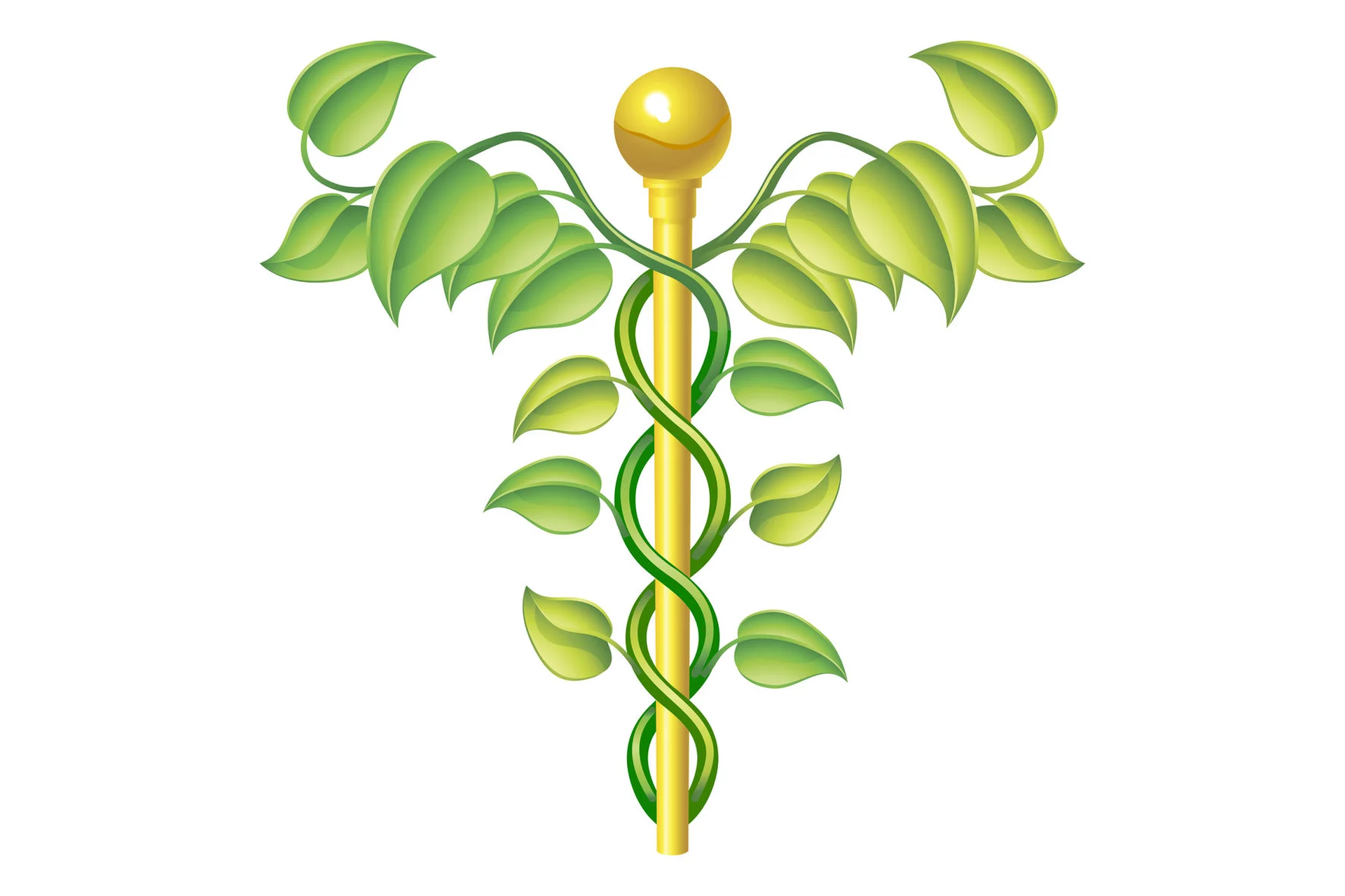 Астро-медицина (Павел Дементьев), фото 1 из 1.