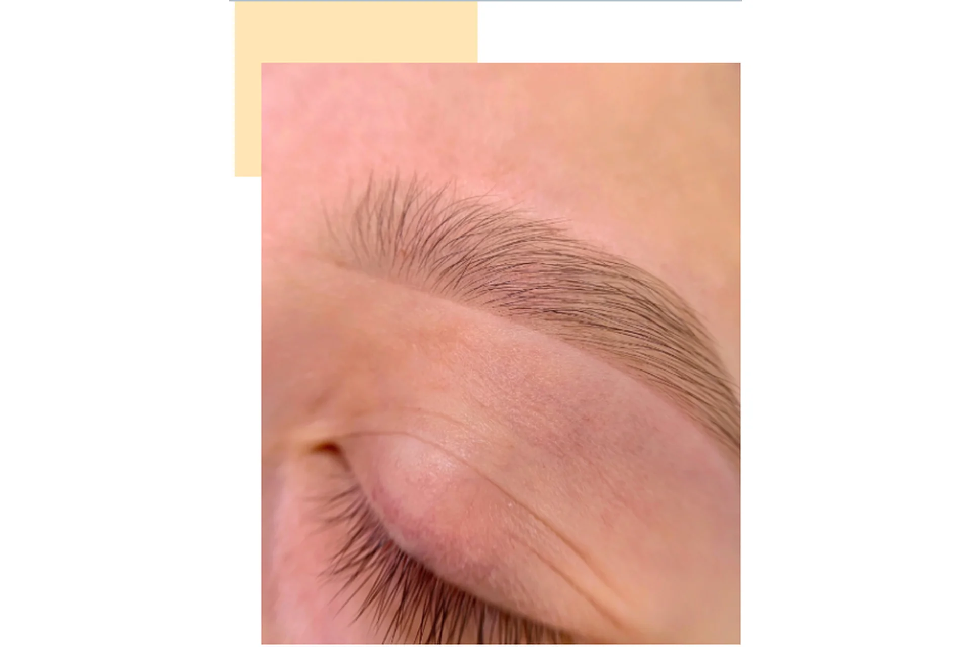 [Дом бровей] Повышение квалификации по работе с хной BrowXenna, фото 1 из 1.