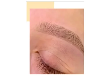 [Дом бровей] Повышение квалификации по работе с хной BrowXenna