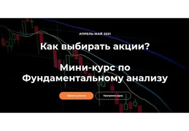 Мини-курс по фундаментальному анализу (Светлана Шишкина, Анна Харитонова)