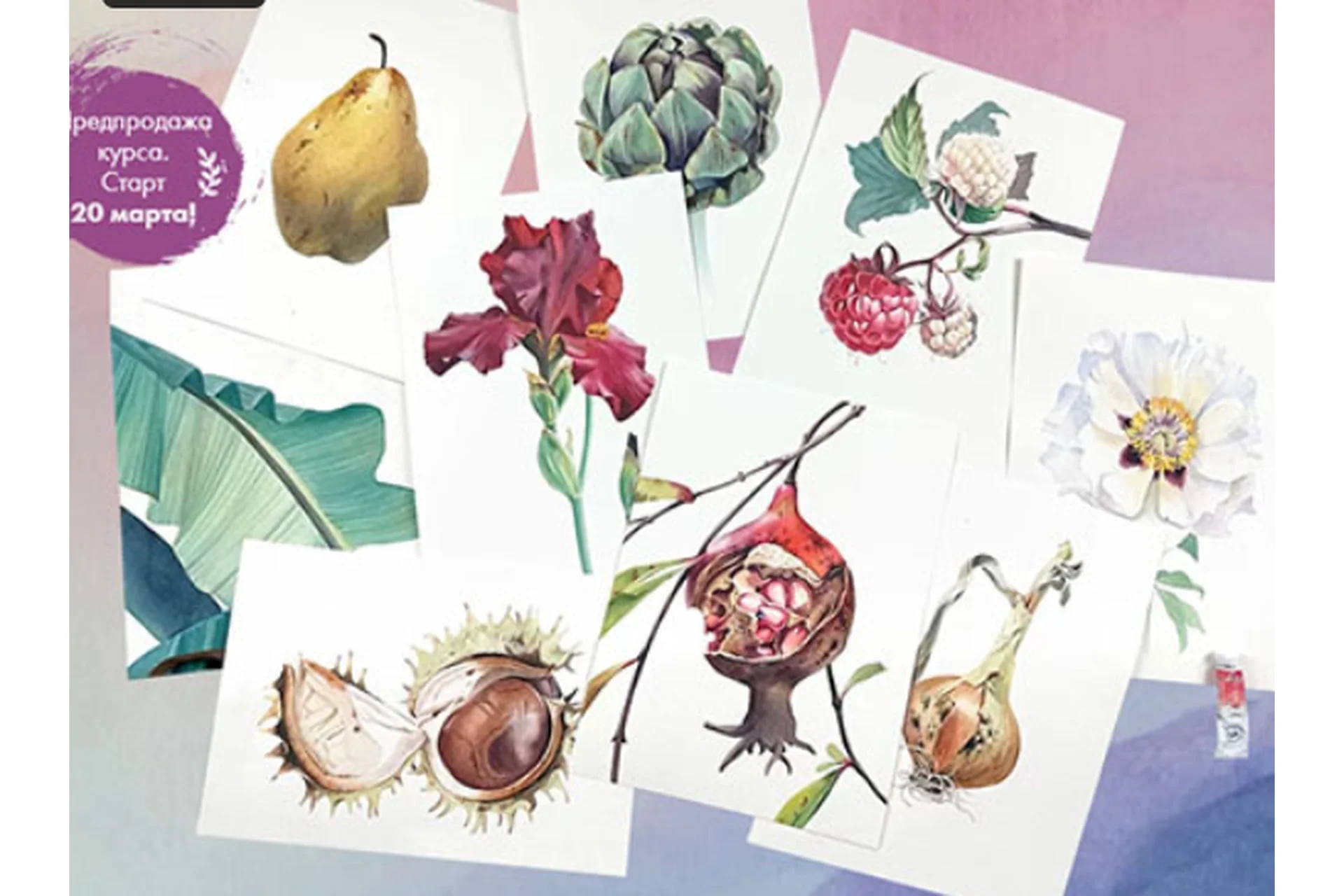 [Художник Online] Онлайн-курс «Ботаника акварелью 2.0» (Дарья Куцаева), фото 1 из 1.