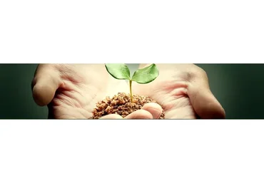 [Интераура] Нормализация работы мышечной системы