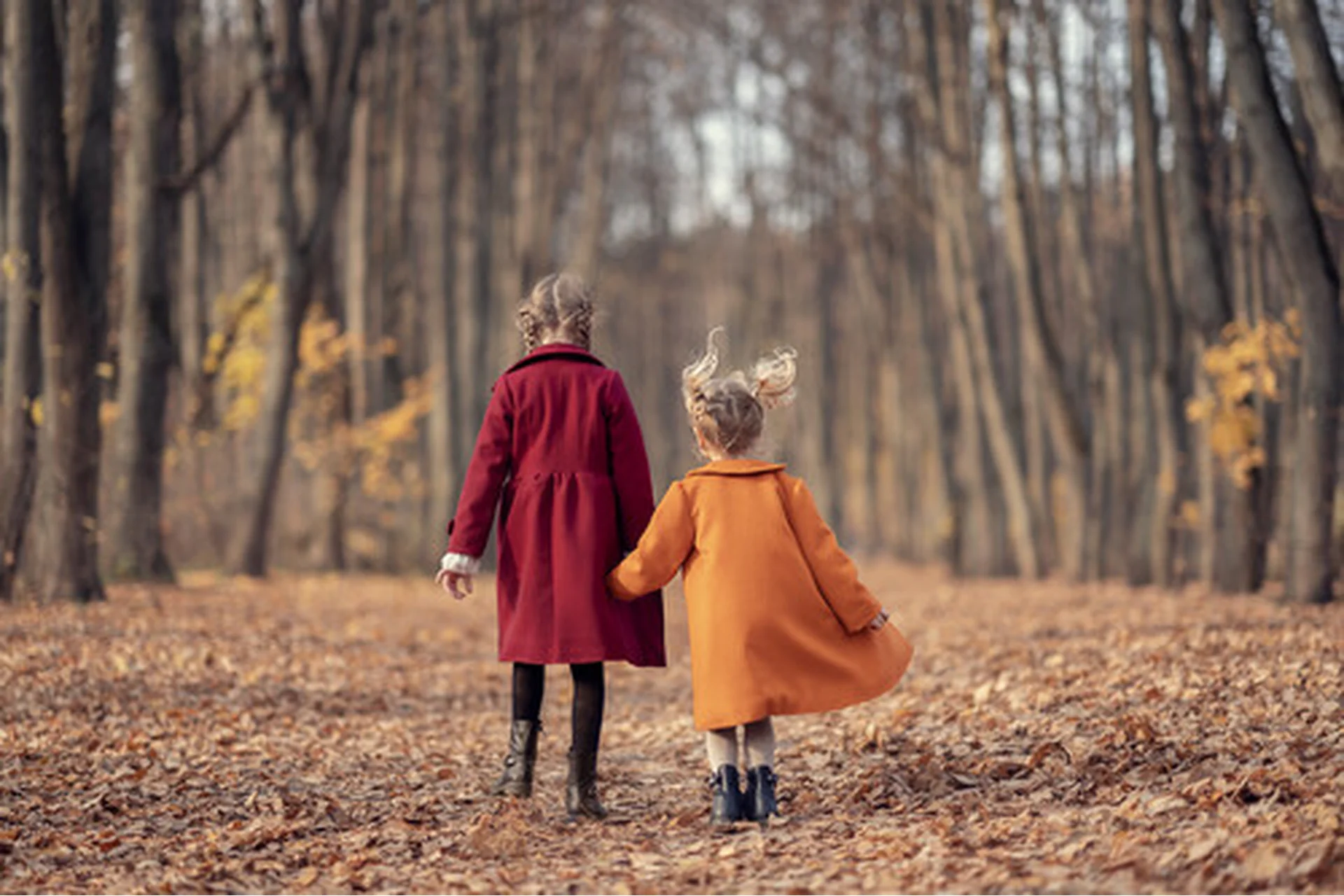 Осенняя съемка, снимаем детей в движении (Елена Карнеева), фото 1 из 1.