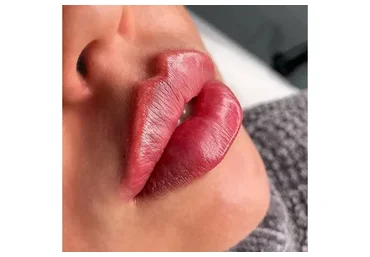 Russian lips. Губки Плоский Бант (Антонина Гуз)
