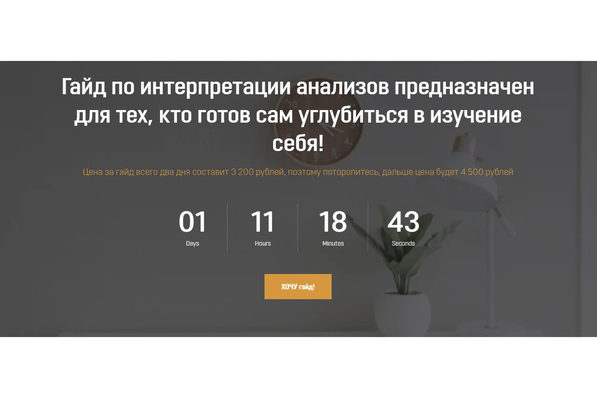 Гайд "Расшифровка анализов" (Анна Тищенко), фото 1 из 1.