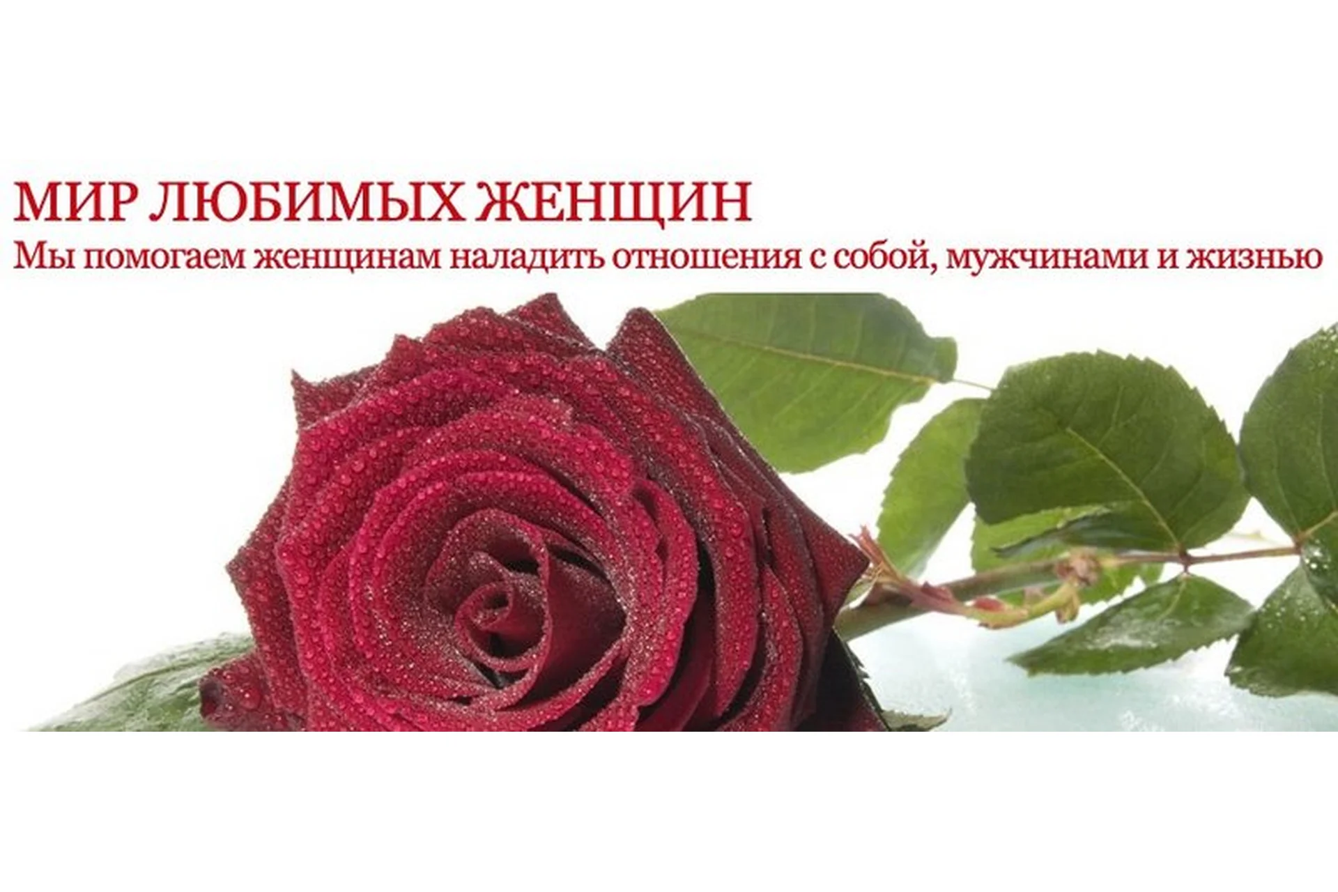 Обновление жизни. 2 части (Алена Влади), фото 1 из 1.