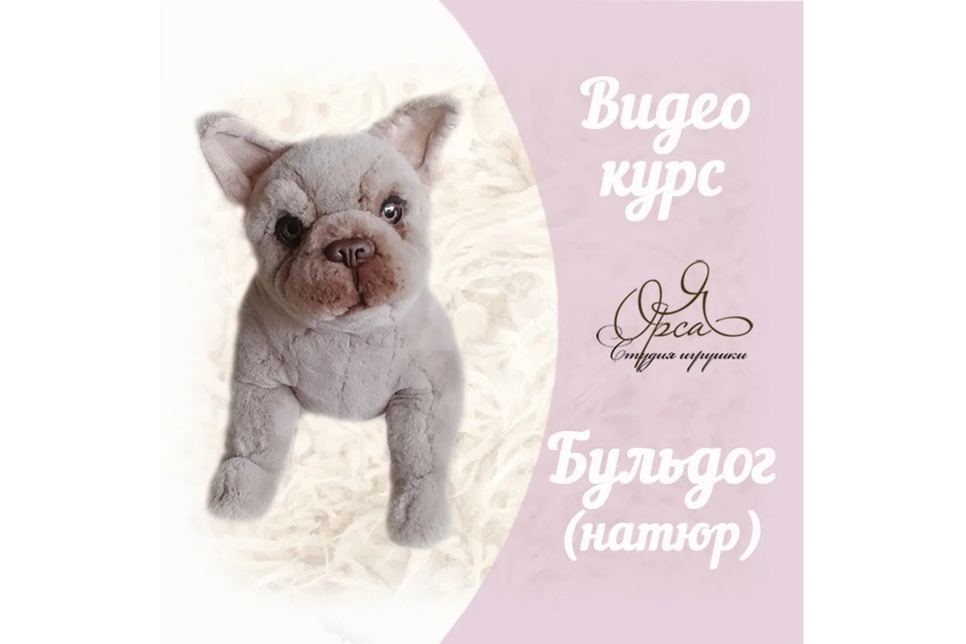 Бульдожка натюр (Янина Орса), фото 1 из 1.