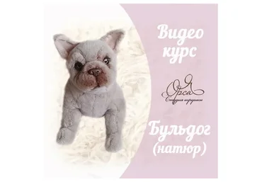 Бульдожка натюр (Янина Орса)