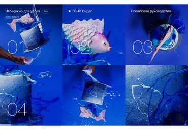 Торт-рыбка. Урок о дизайне торта с шоколадной рыбкой (Рони Белова, Андрей Дубовик)