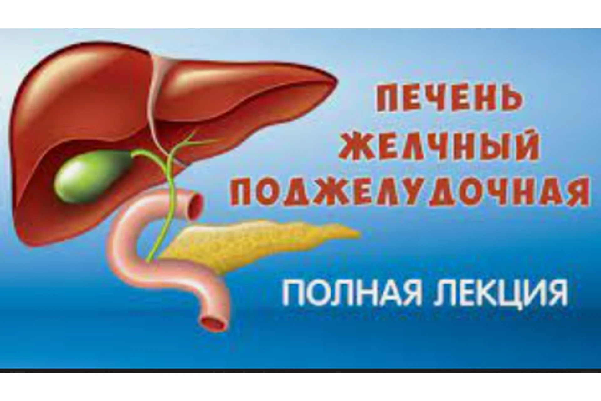 Печень, желчный пузырь, поджелудочная железа (Юрий Фролов), фото 1 из 1.