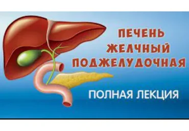 Печень, желчный пузырь, поджелудочная железа (Юрий Фролов)