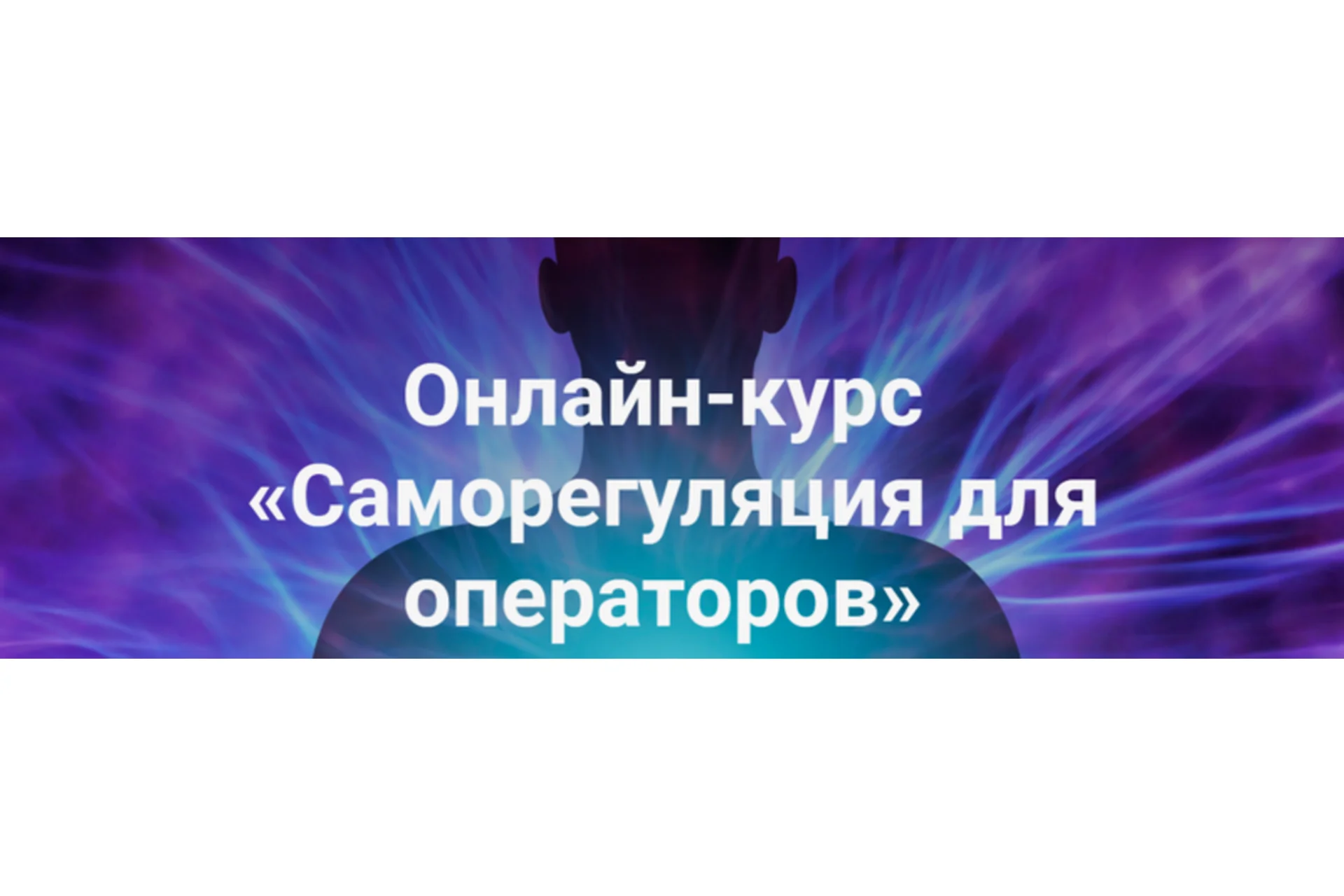 [Vorontsov studio] Саморегуляция для операторов.  2 и 3 часть (Роман Воронцов), фото 1 из 1.