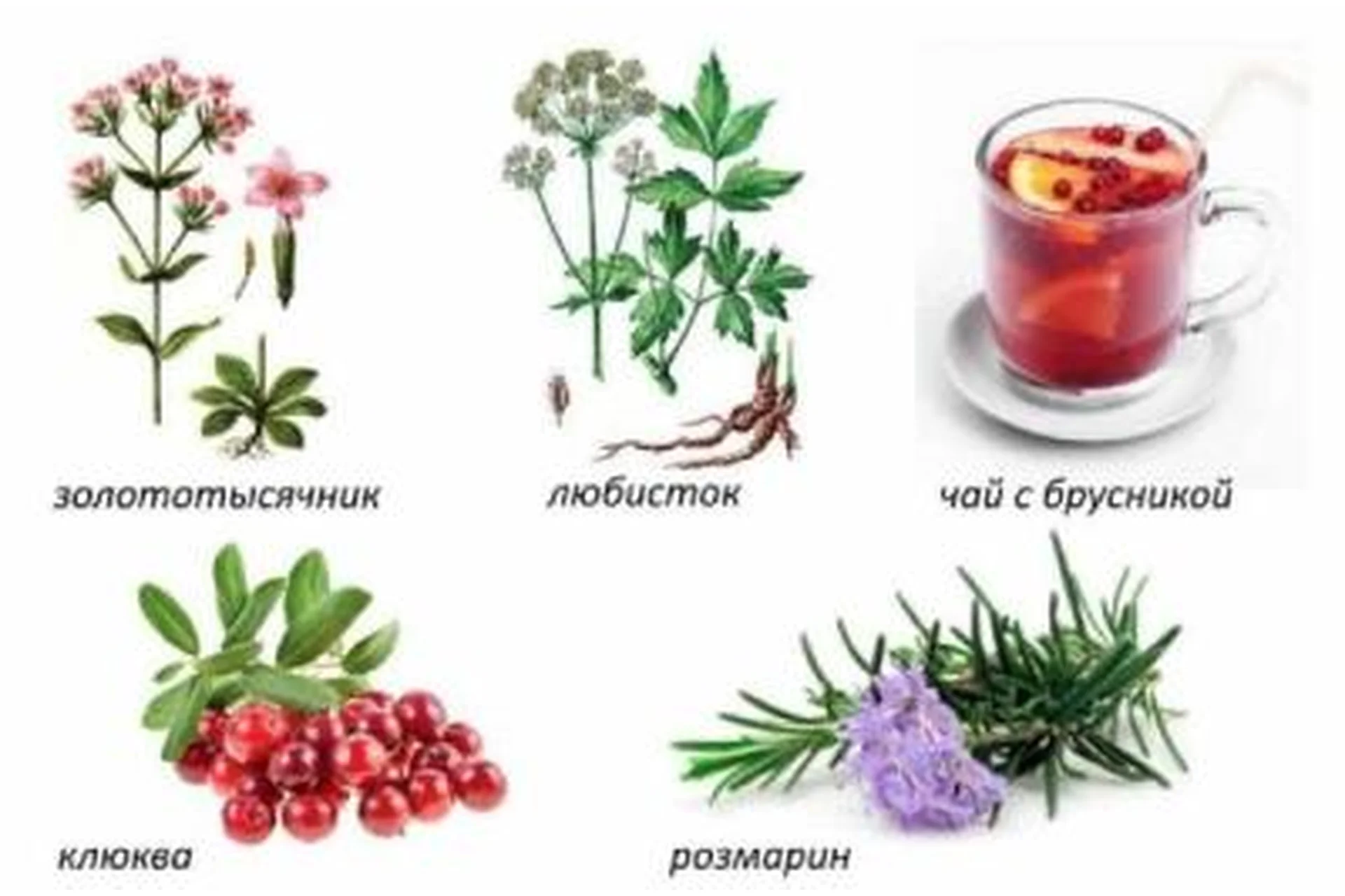 Натуральное лечение дома (Анна Клинкова), фото 1 из 1.