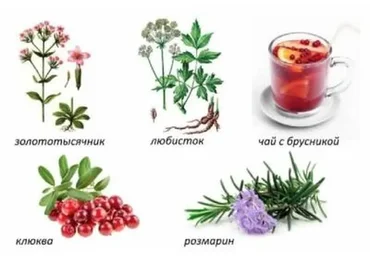 Натуральное лечение дома (Анна Клинкова)