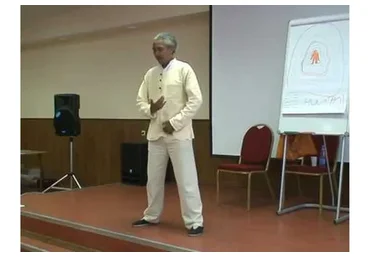 Энергетическая целостность (Хуан Ли)