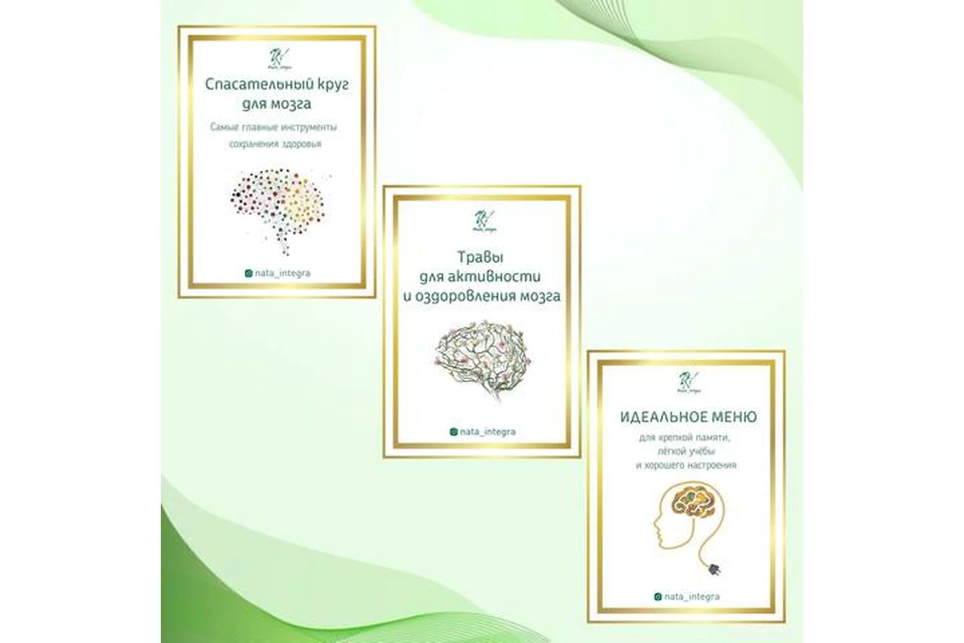 Спасательный круг для мозга + Травы для активности и оздоровления мозга (Катерина Форма), фото 1 из 1.