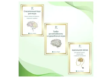 Спасательный круг для мозга + Травы для активности и оздоровления мозга (Катерина Форма)