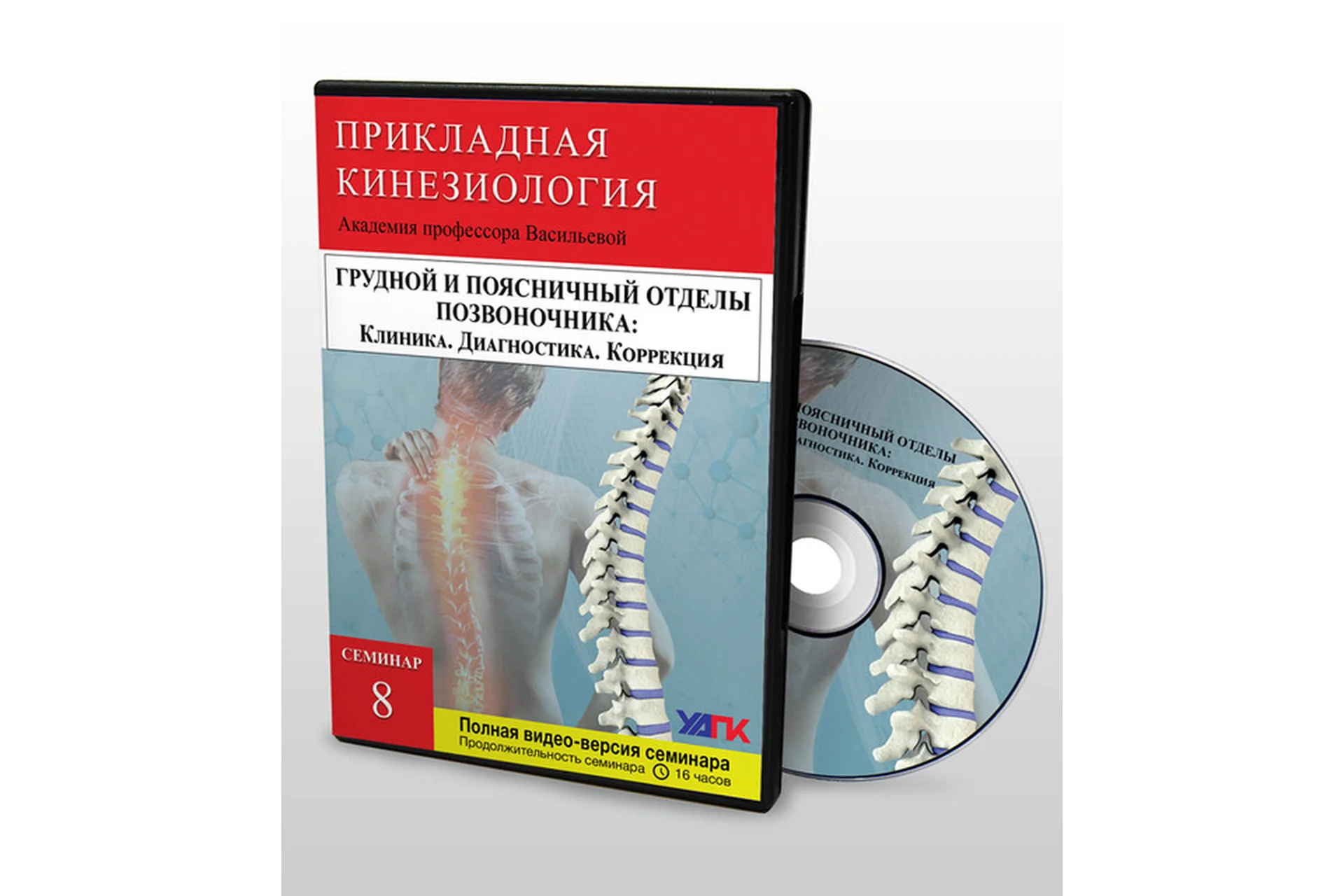 [УАПК] Профессиональная прикладная кинезиология, семинар №8 (Михаил Савиных), фото 1 из 1.