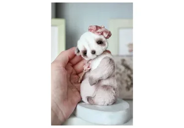 [Школа авторской игрушки] Пандочка Астрид в технике Тедди (Марика Шмидт)