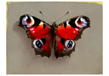 [KalachevaSchool] Пастель для начинающих (Елена Таткина)