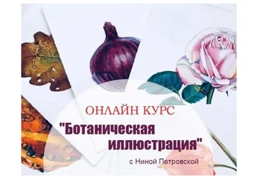 Ботаническая иллюстрация (Нина Петровская)