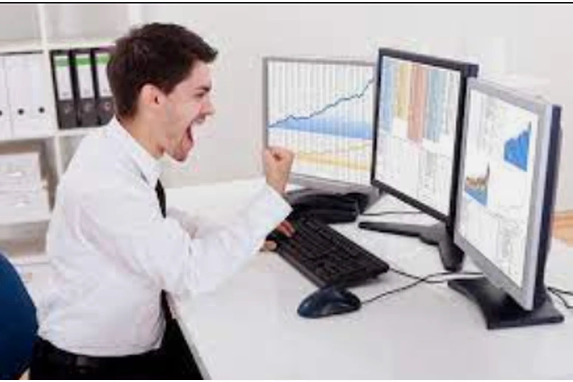 Профессиональный Forex трейдер. STANDART. 2015 (Андрей Оливейра), фото 1 из 1.