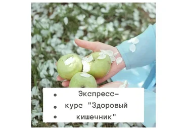 Здоровый кишечник, 2019 (Доктор Кадырова)