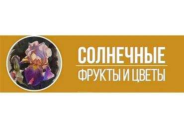 [Art Shima] Солнечные фрукты и цветы (Анастасия Шимшилашвили)