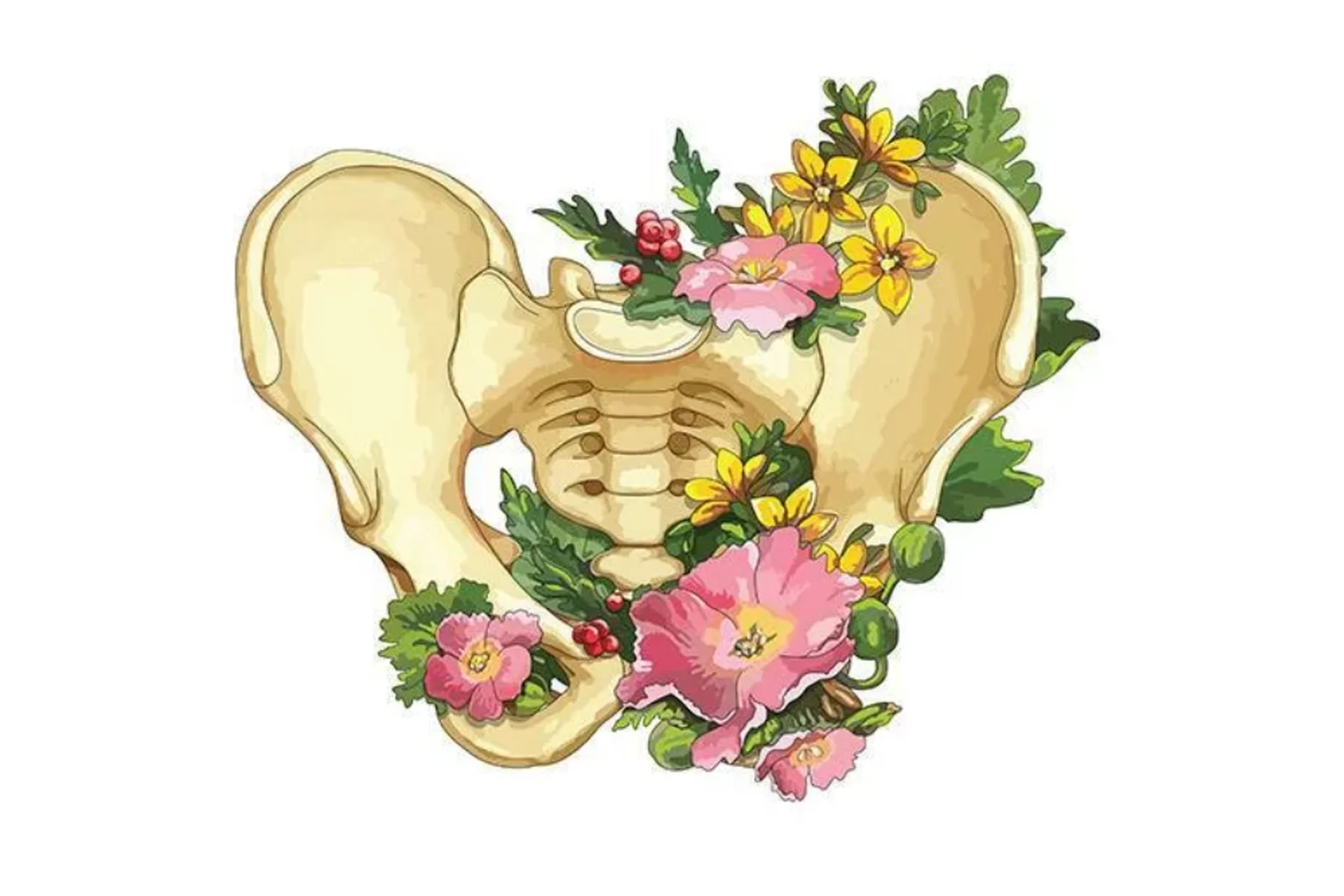 [Bulletfit] Тазовое дно. Женское здоровье (Валентина Пуляхина), фото 1 из 1.