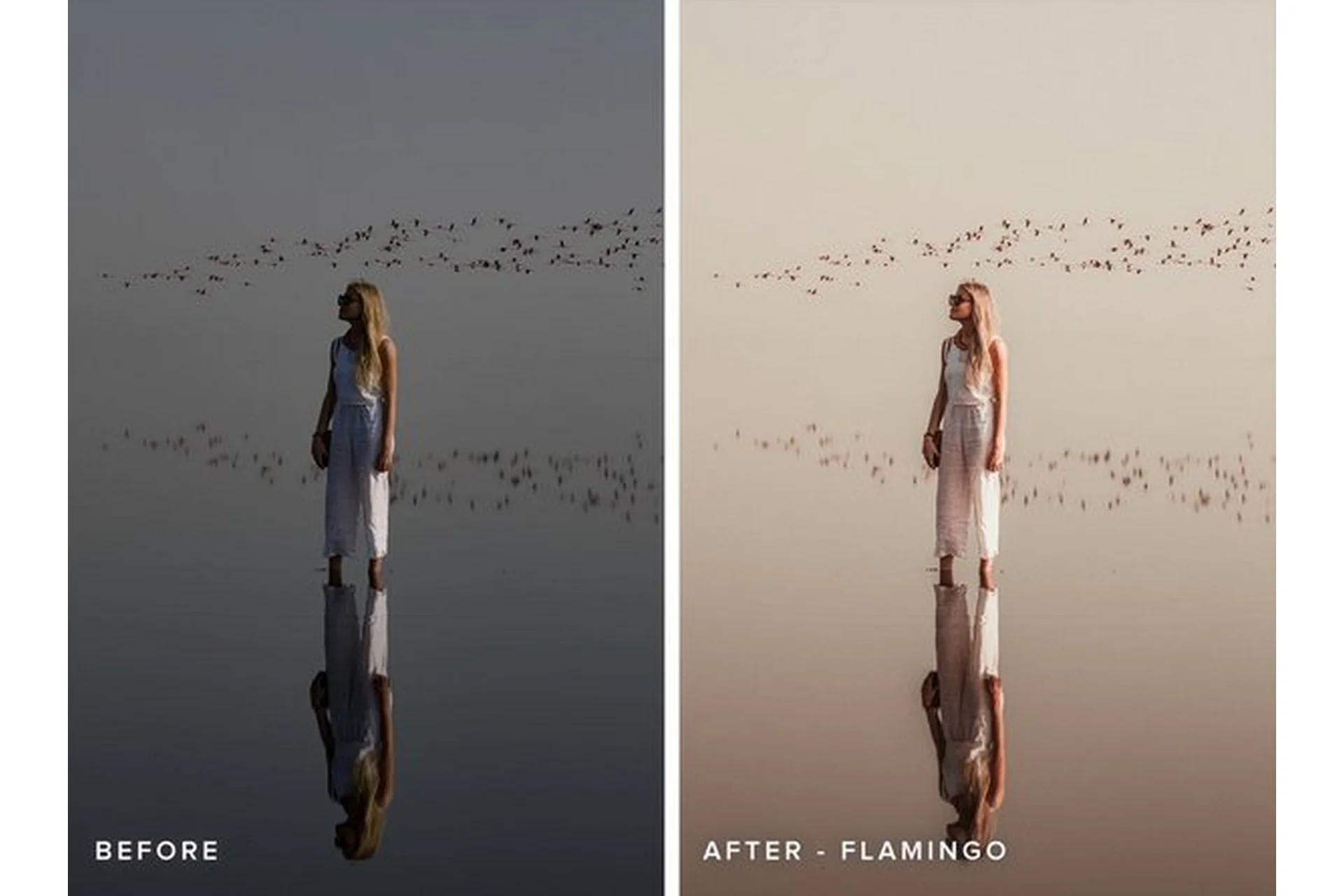 Пресеты Prezzl Africa LR, LR mobile DNG (Hildegunn Taipale, Samuel Taipale), фото 1 из 1.