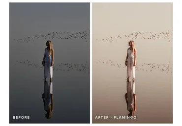 Пресеты Prezzl Africa LR, LR mobile DNG (Hildegunn Taipale, Samuel Taipale)