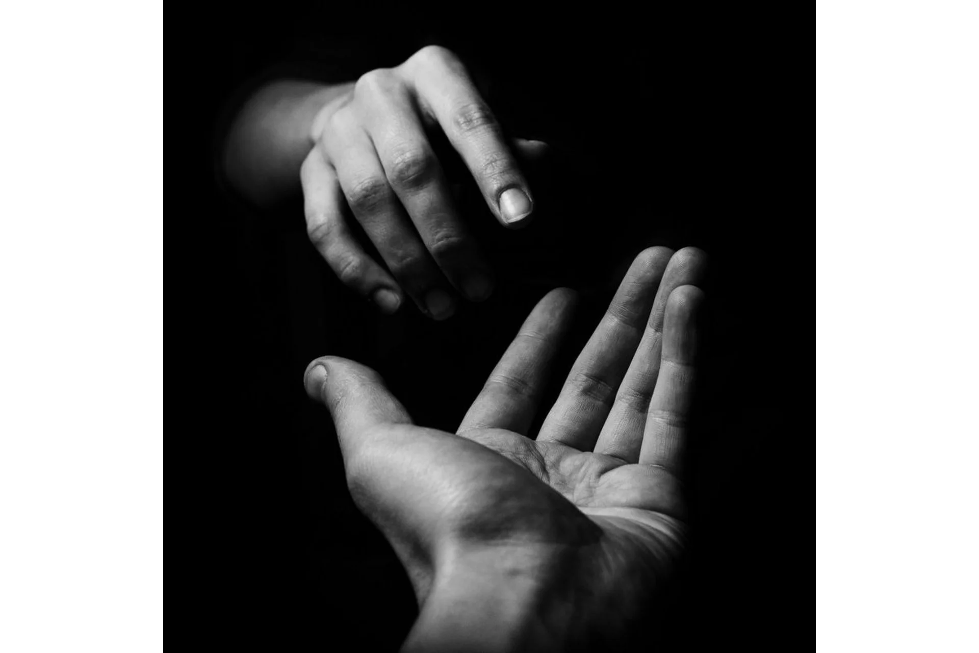 Свободно выбранные союзы (Ирина Юр), фото 1 из 1.