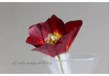 Курс весенний (Татьяна Ефремова)